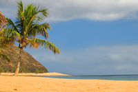 Canary Islands Holidays in Spain